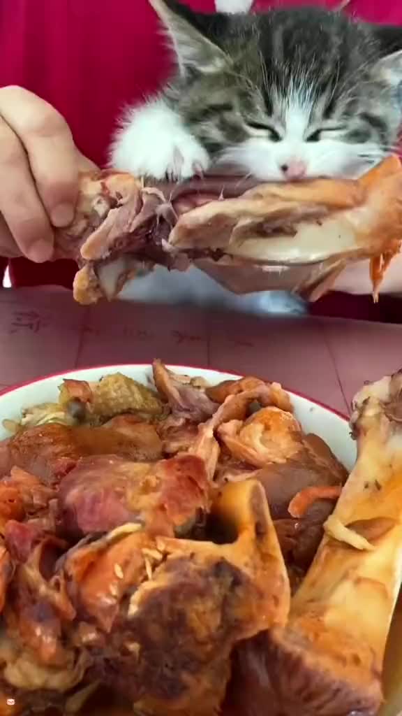 @linjinhua