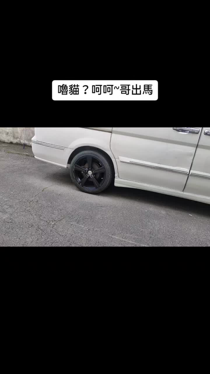 @糧巢偉-貓咪執事