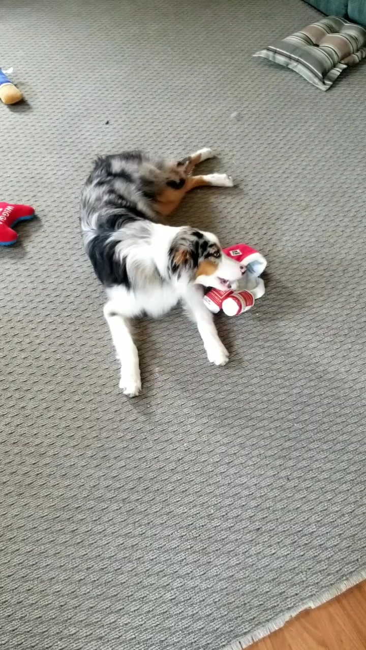 @Jett The Aussie