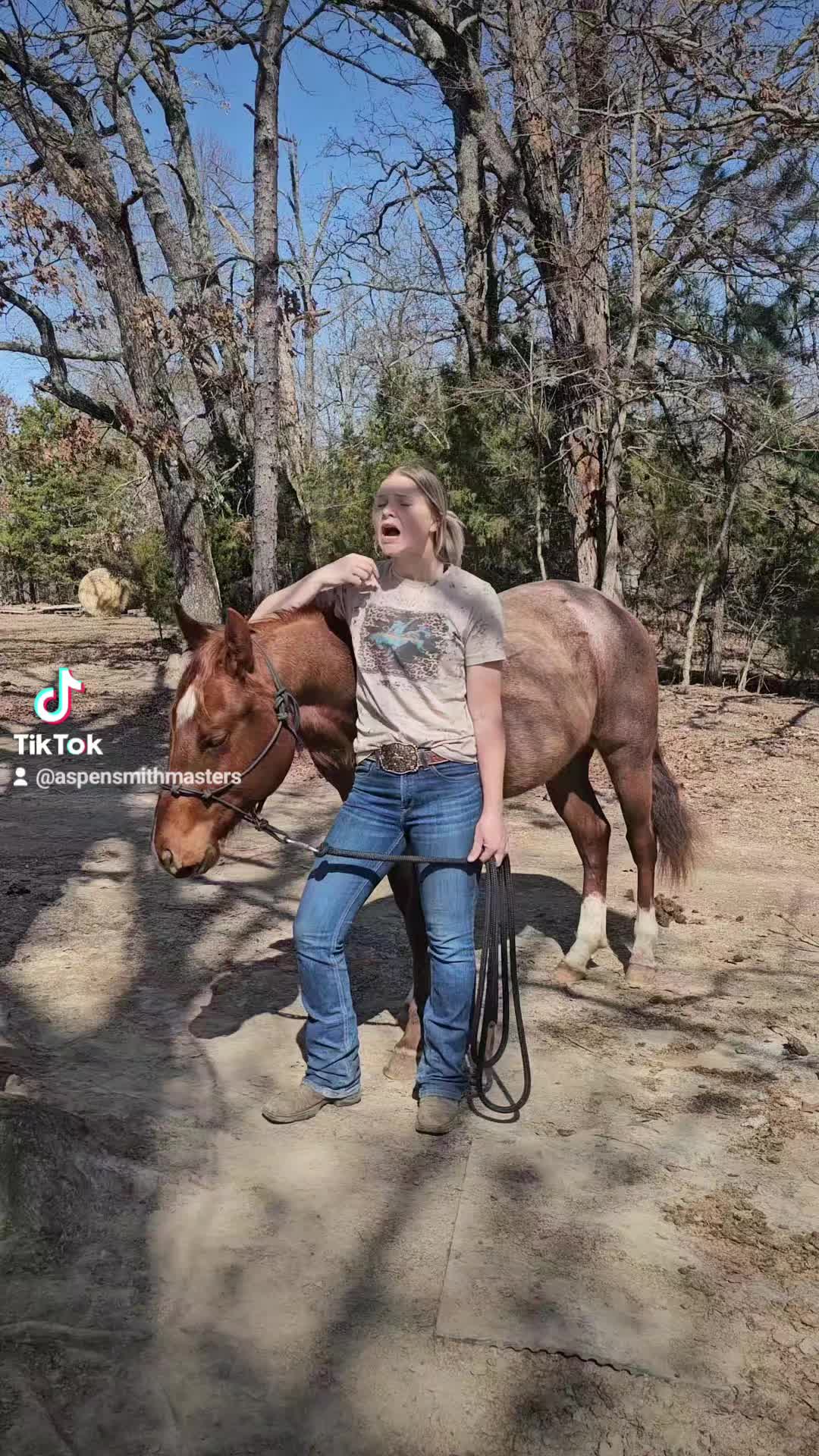 @Ozark Mountain Horses LLC