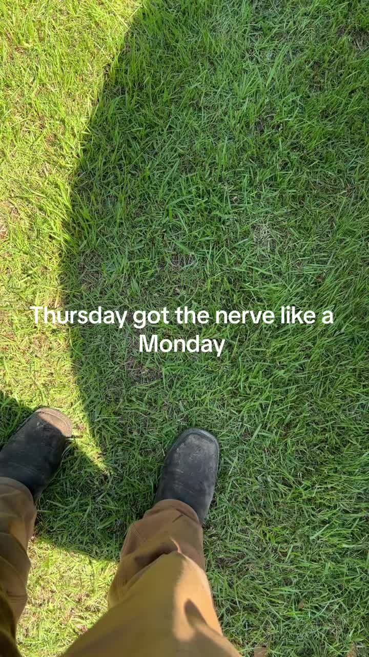 @Carter🦝