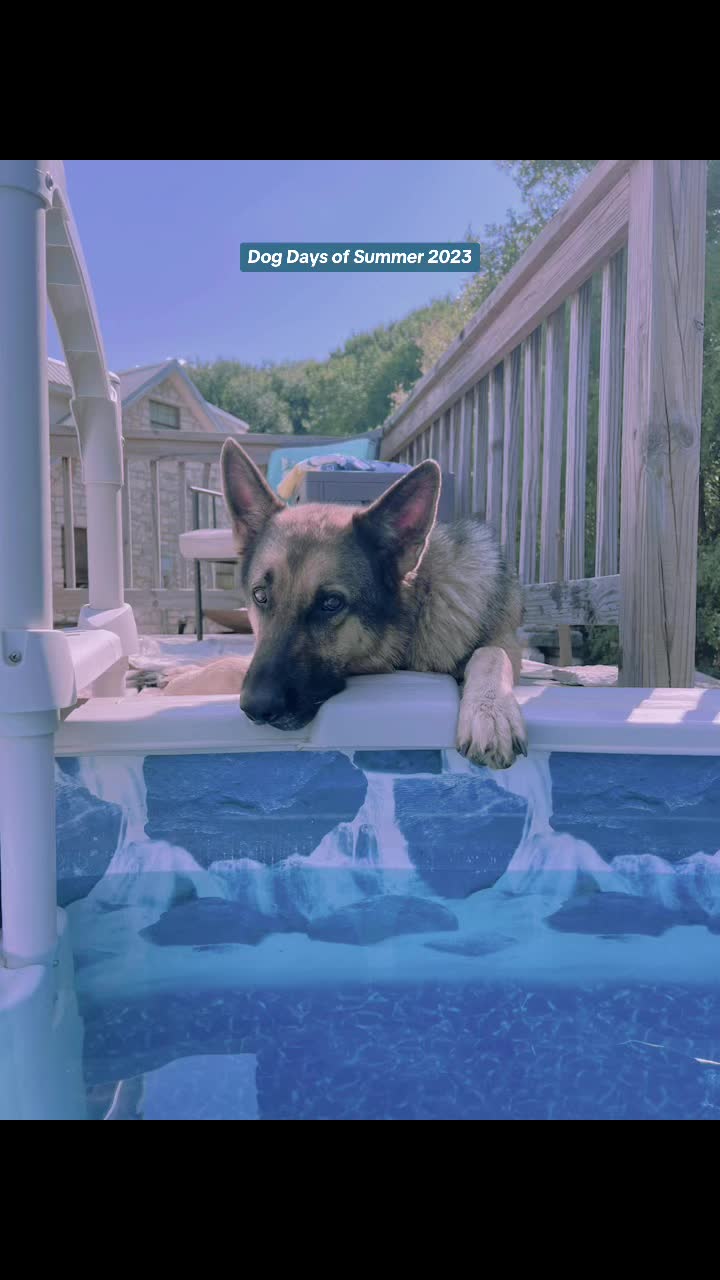 @#animalhyperbarics