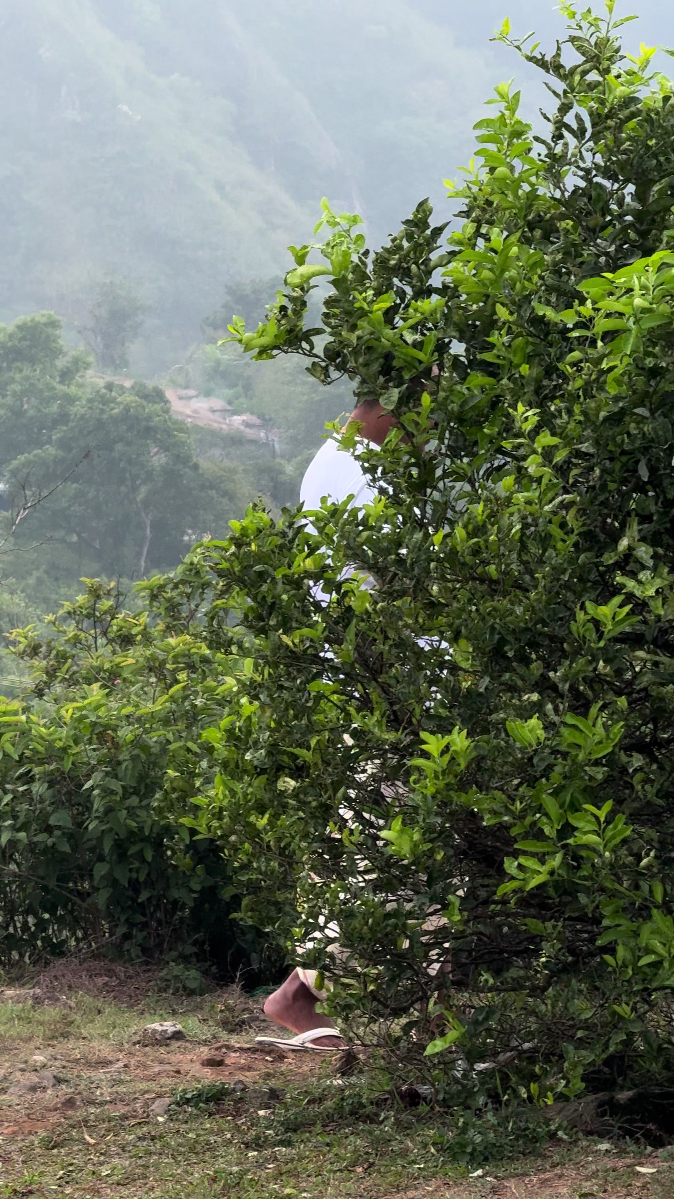 @Sajikumar