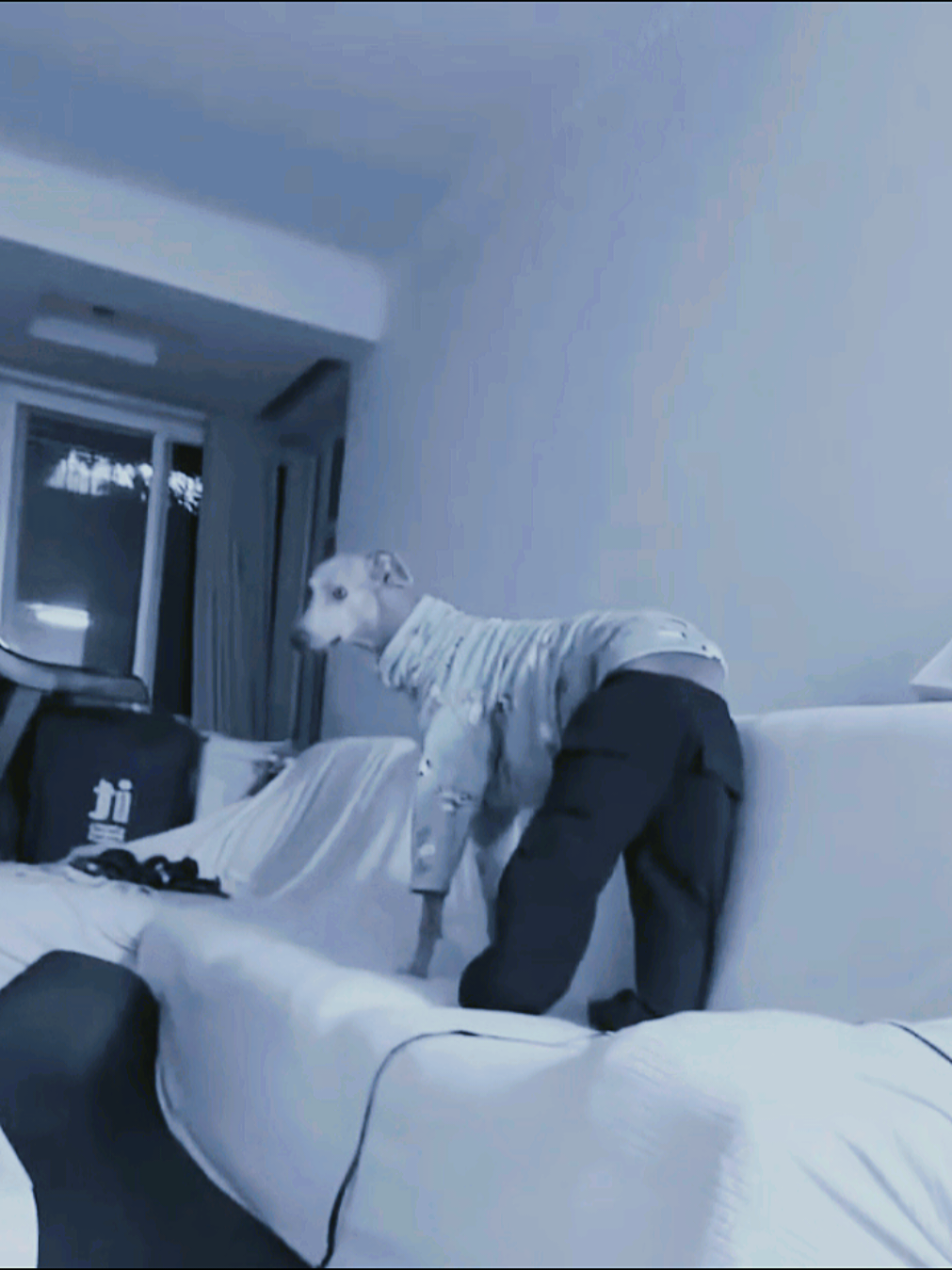 @DAILYVIDS