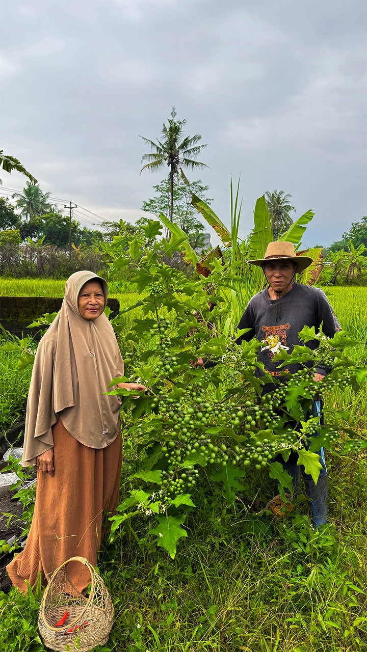 @Kampung Halaman Official