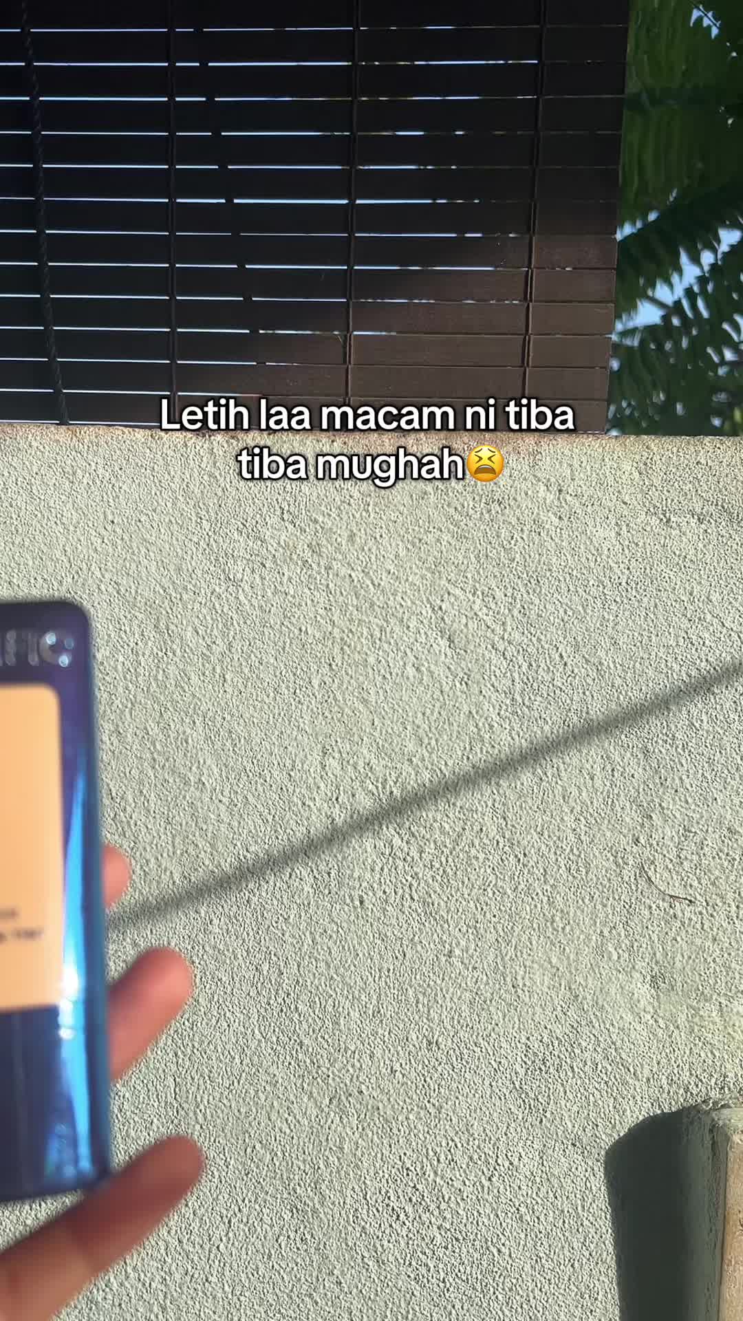 @Miaaa