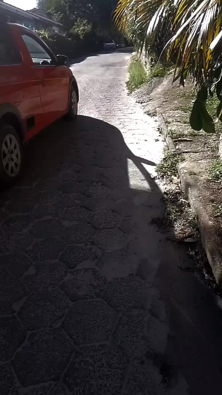 @Franciele Sobrosa