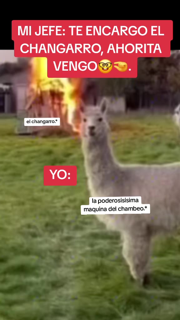 @TURA