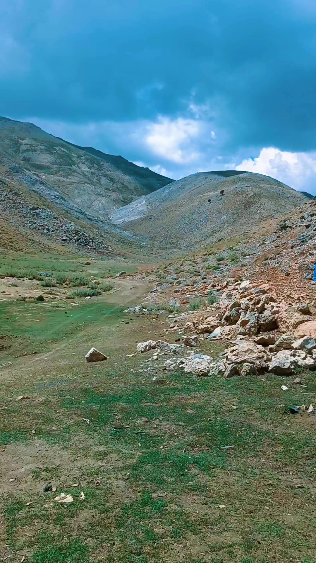 @DAĞCI.46