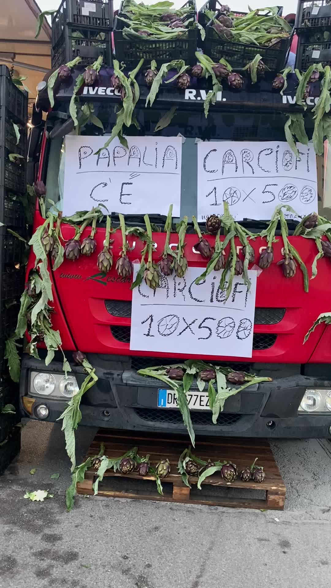 @carmela.papalia