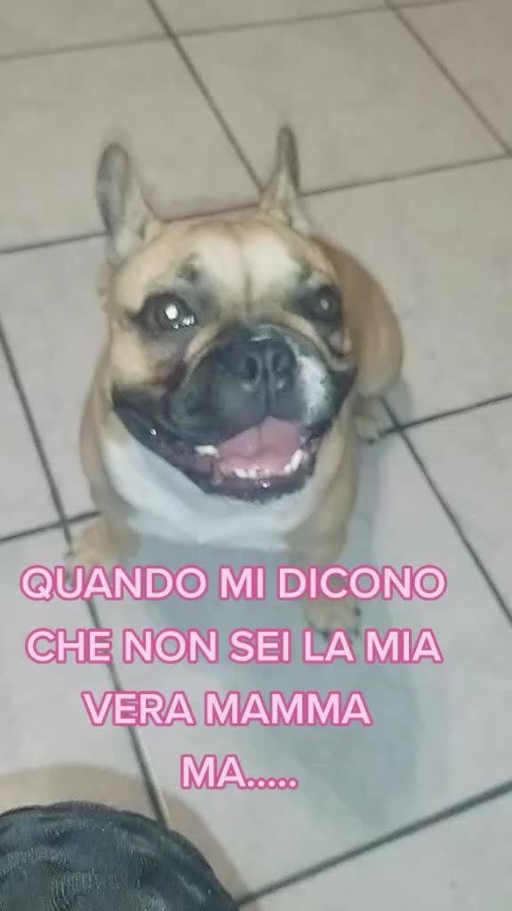 @BIRILLO/CHLOE