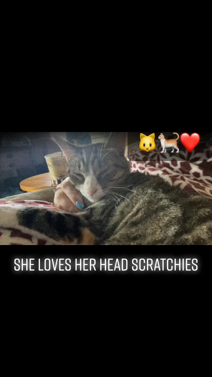 @𝓓𝒂𝒏𝒊🌺