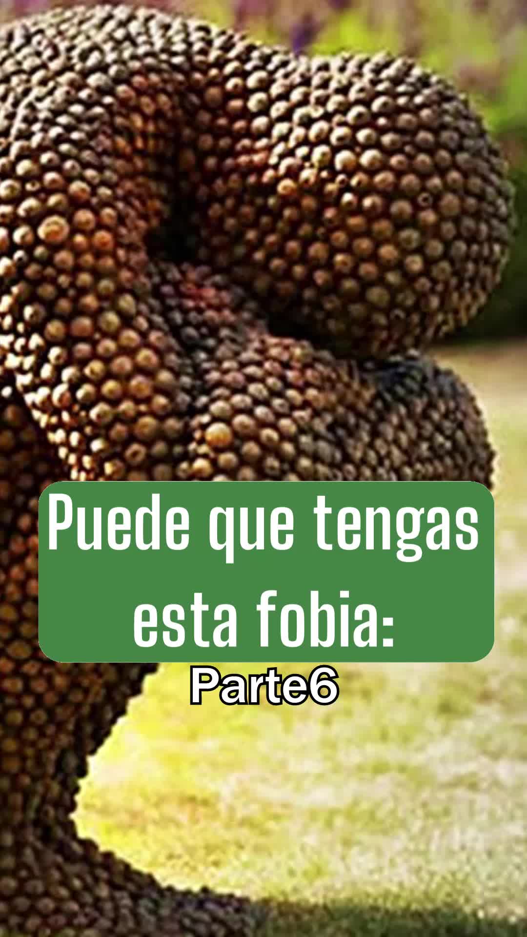 @Leguna Mental Oficial