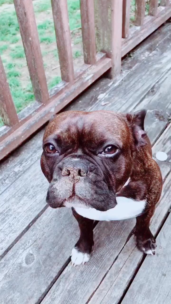 @wildlywinston