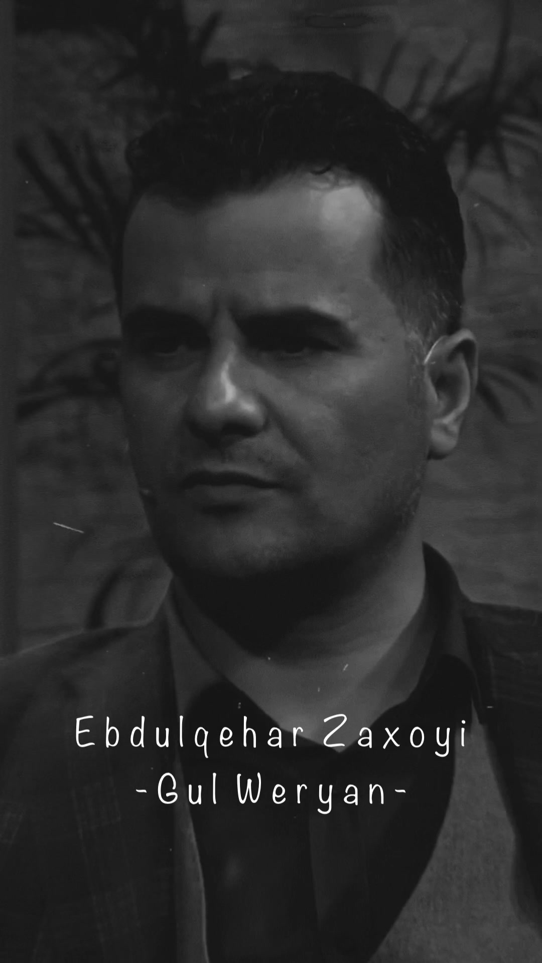 @shavaak