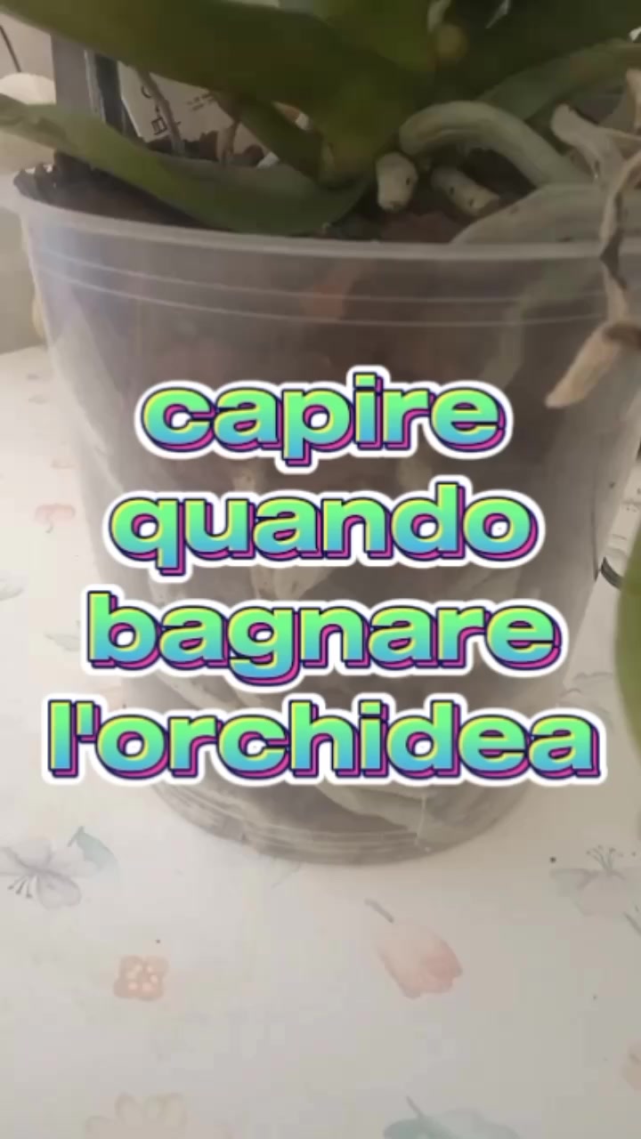 @Il giardiniere felice