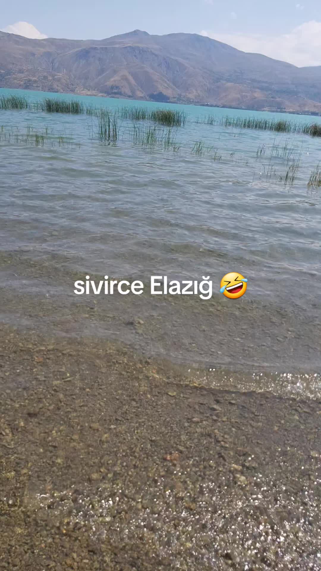 @🇹🇷Tülay🇹🇷👊
