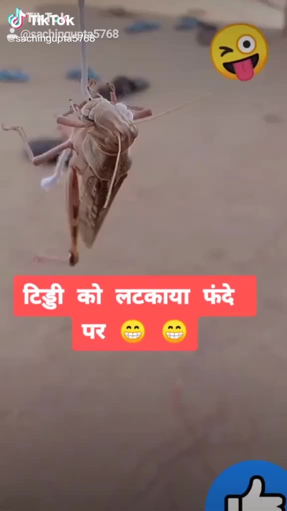 @abid367173