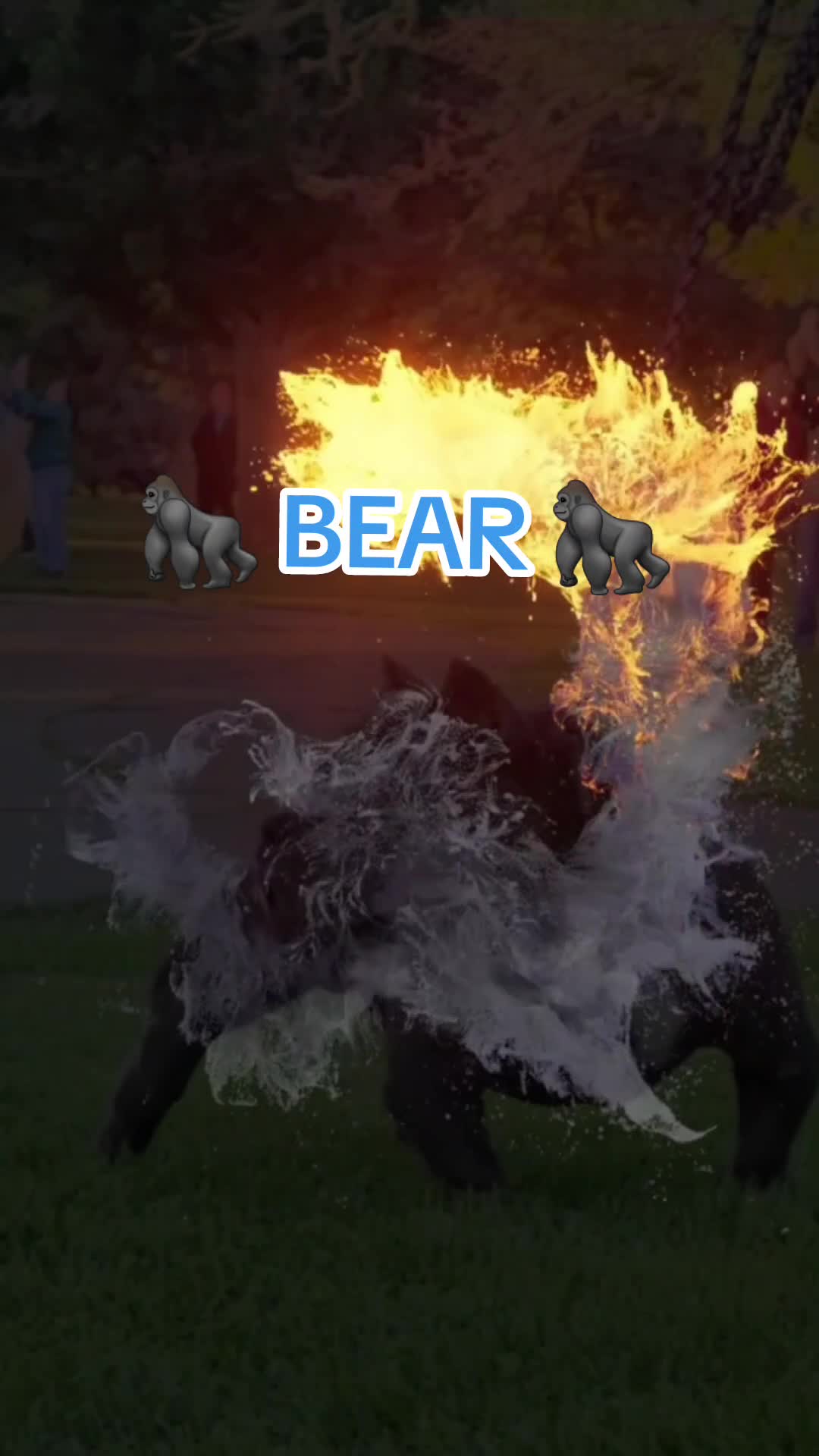 @Mike Titan