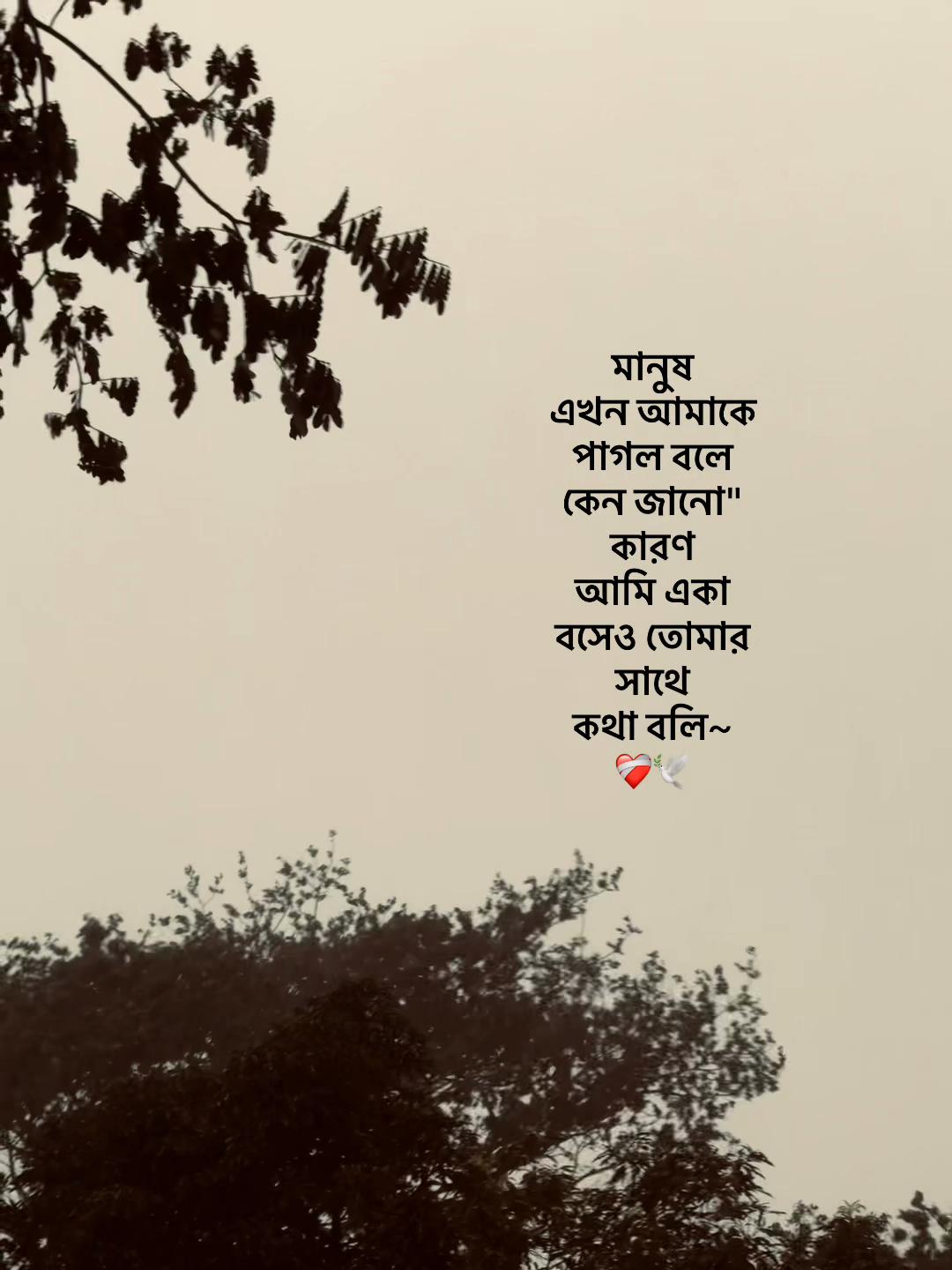 @Jahidul lslam 95