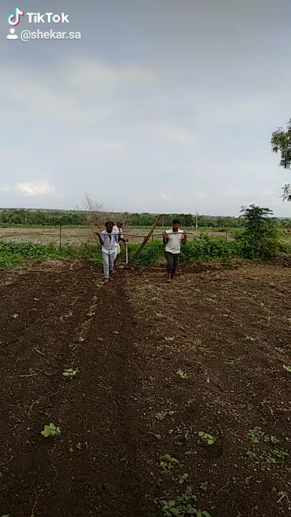 @shekar. sa