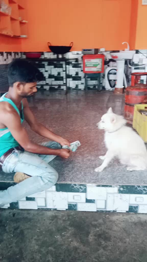 @monu Kumar Gupta