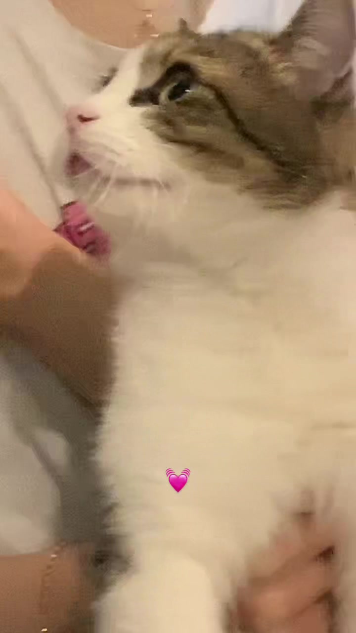 @Артём