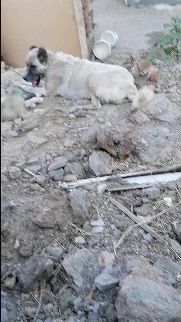 @FurkanKöse28