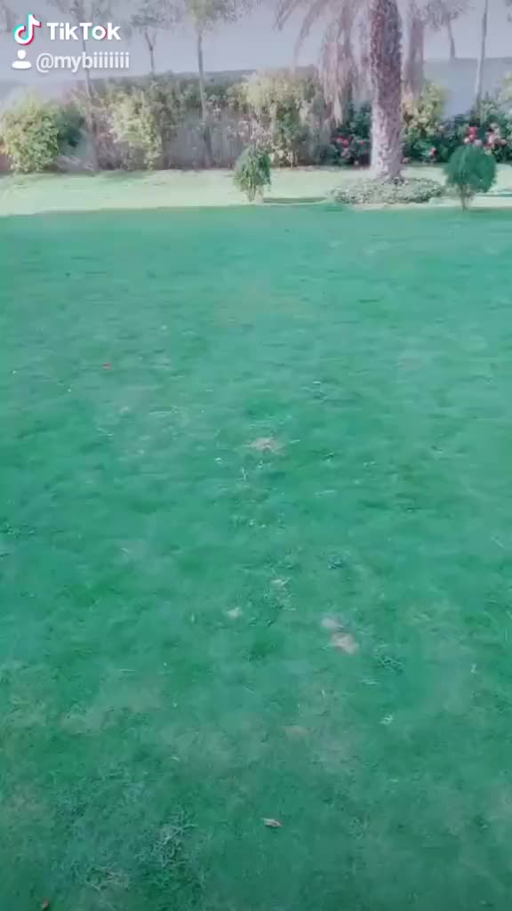 @muskanmahida