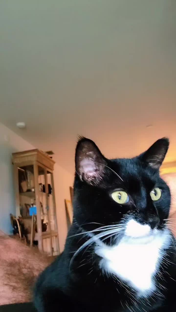 @MrPickles