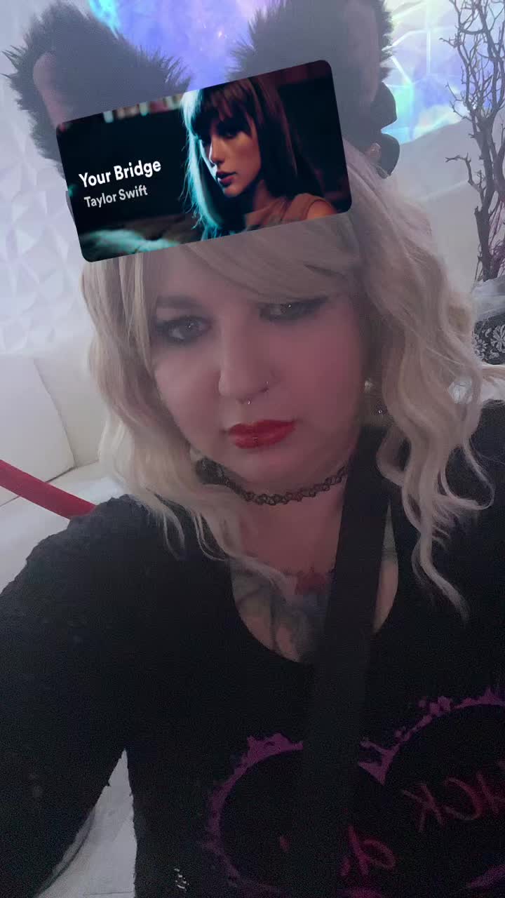 @Kitten