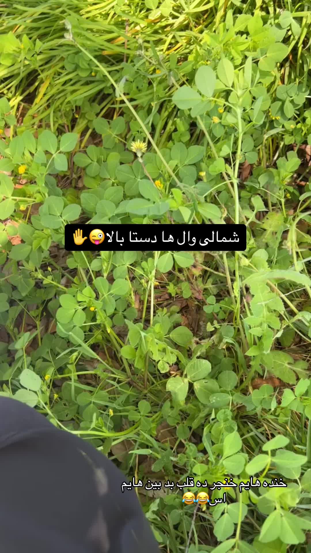 @🎀پیشوووگک🎀