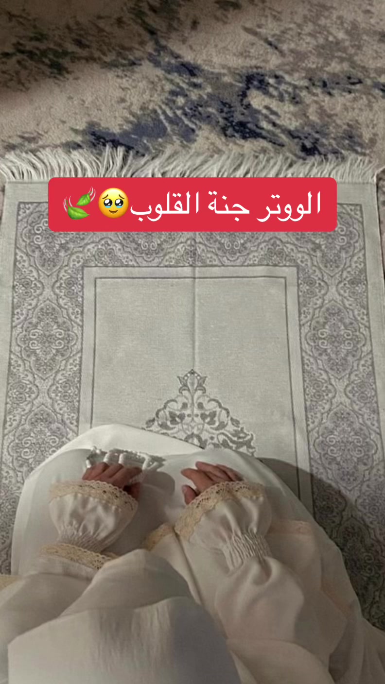 @joori🕊🎻☕️