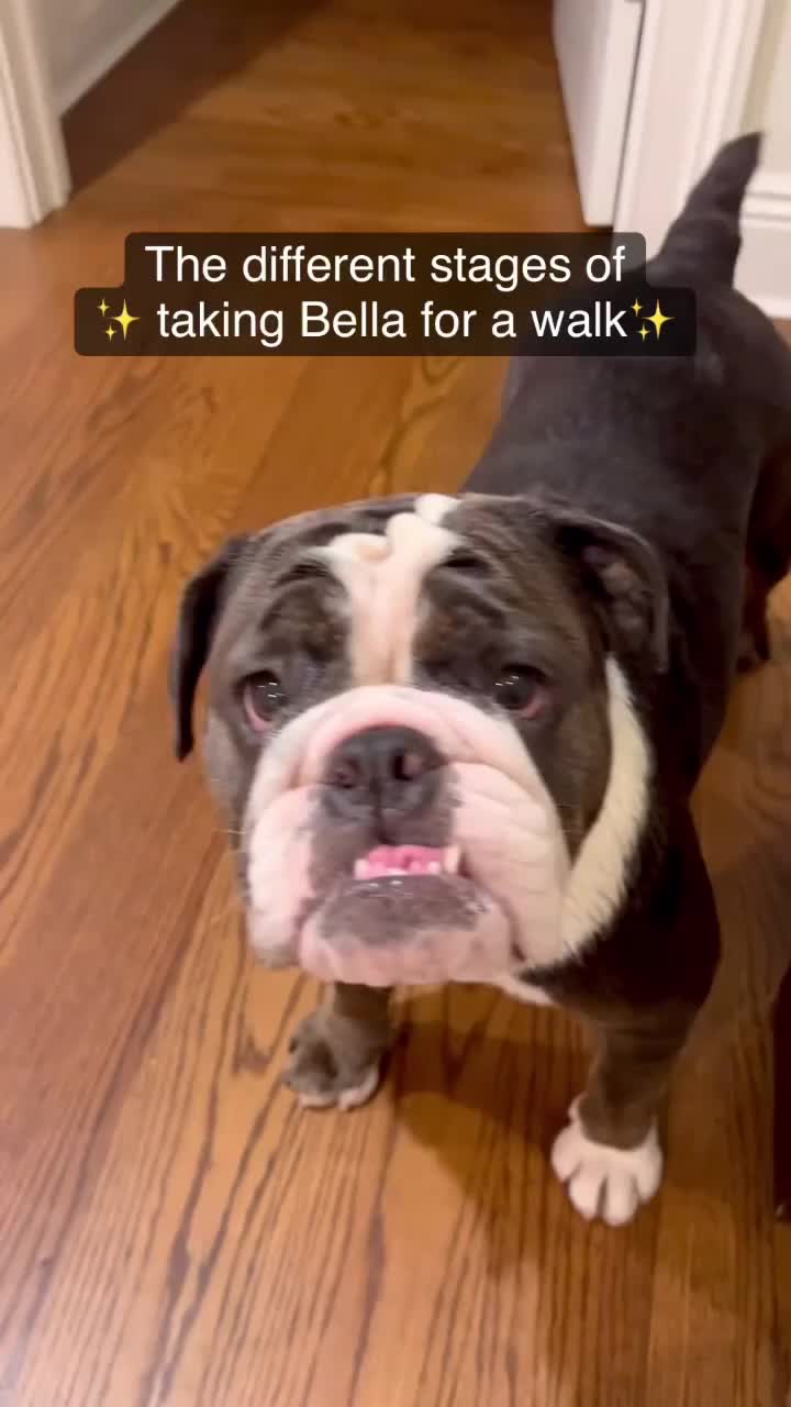@ChubbynBella