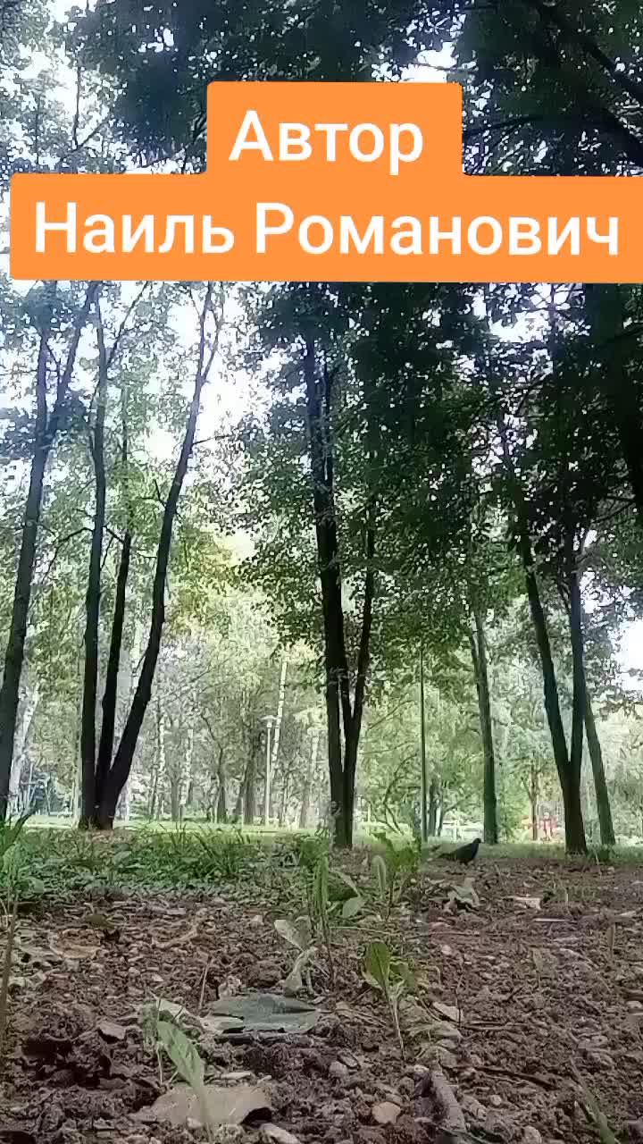@Никита