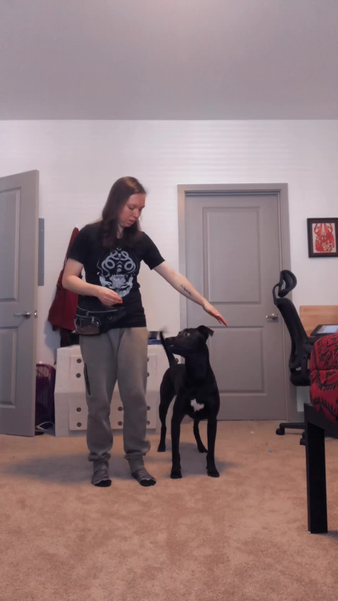 @Dywolf