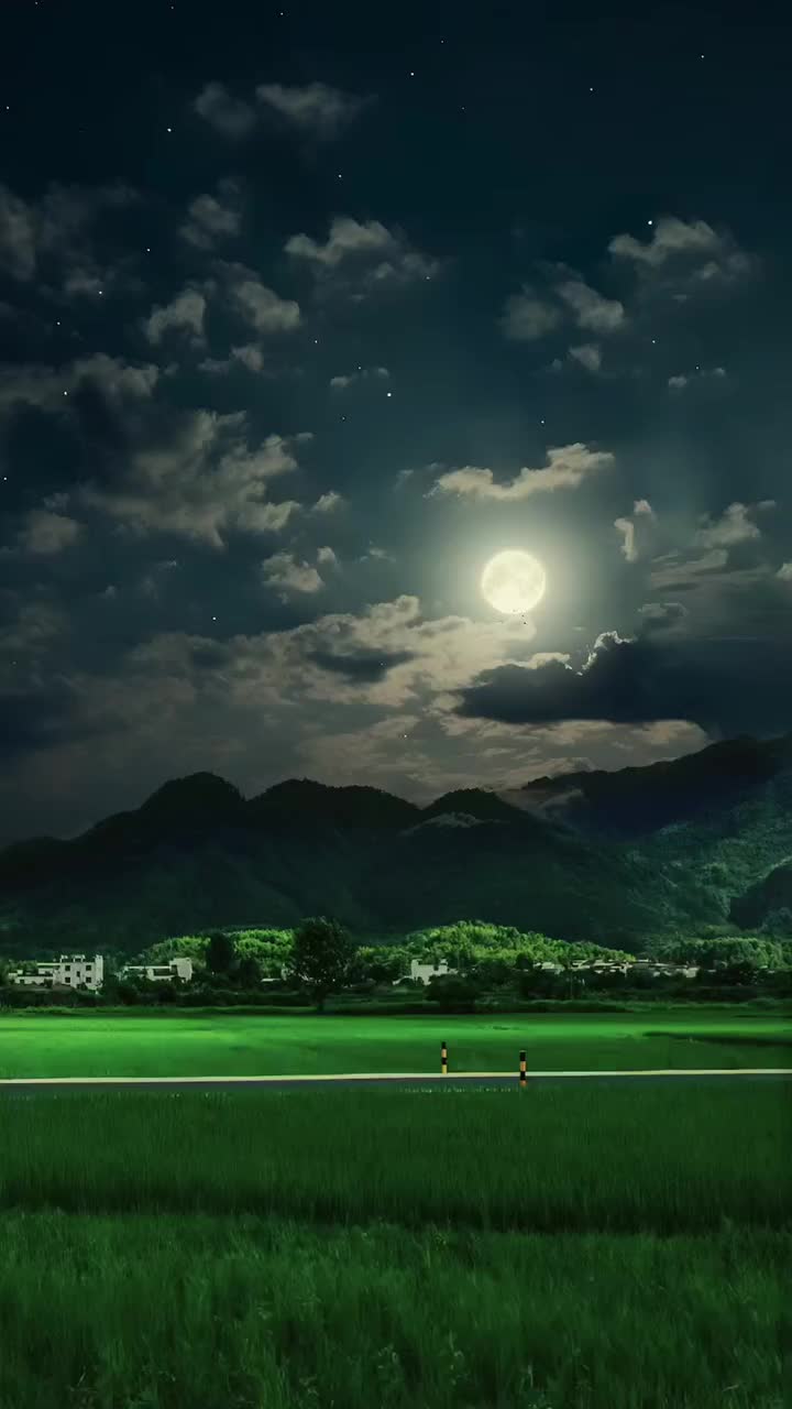 @Nature+Lofi