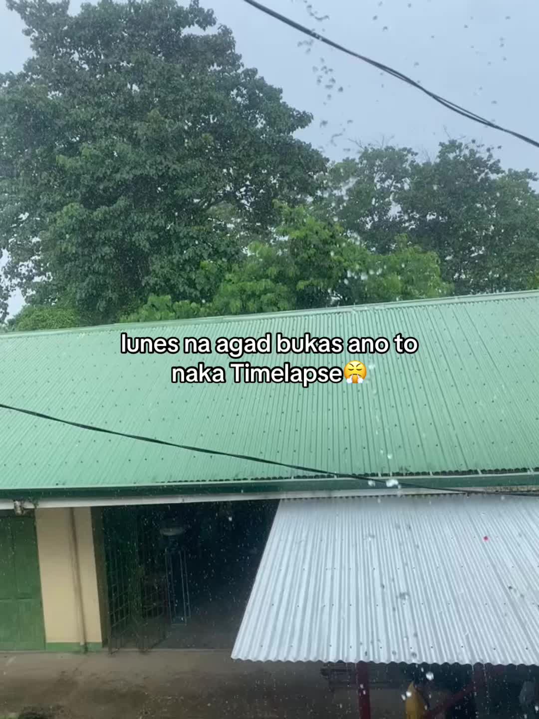 @kishang