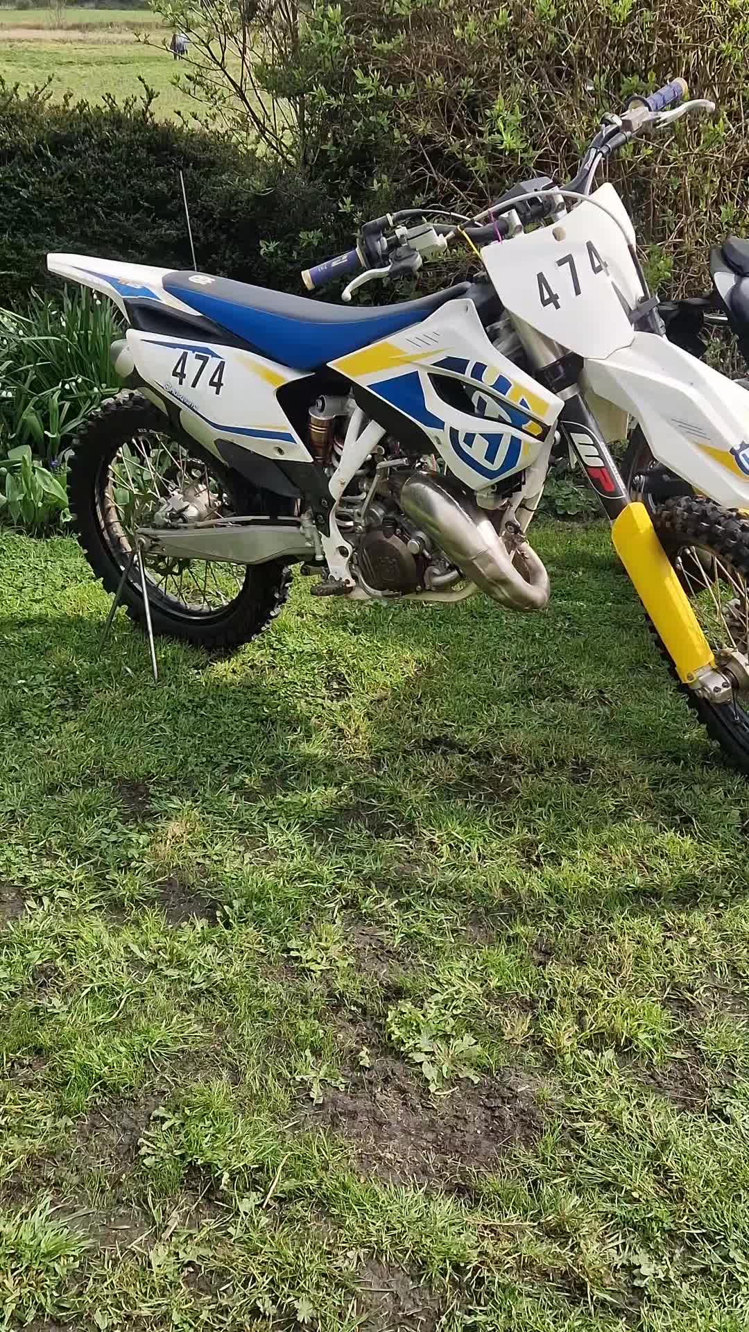 @MX_Lewis