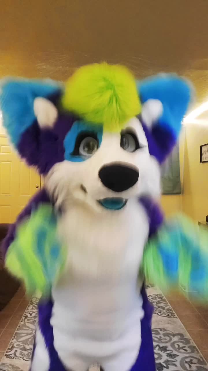 @Luna Husky