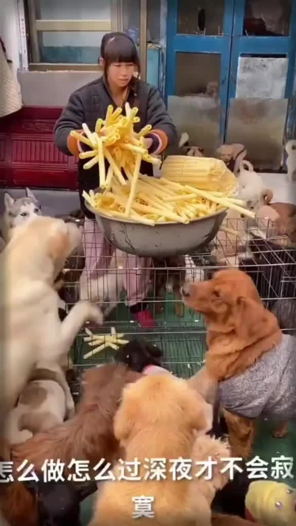 @puppy love us