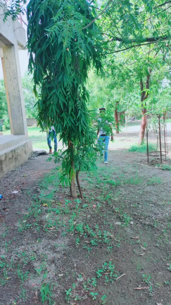 @Aurangabad.Ayyas..rod 👑 king