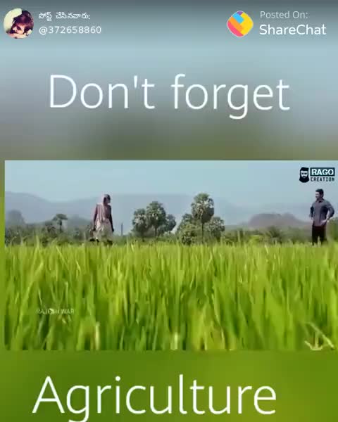 @Gurram Vijayalakshmi