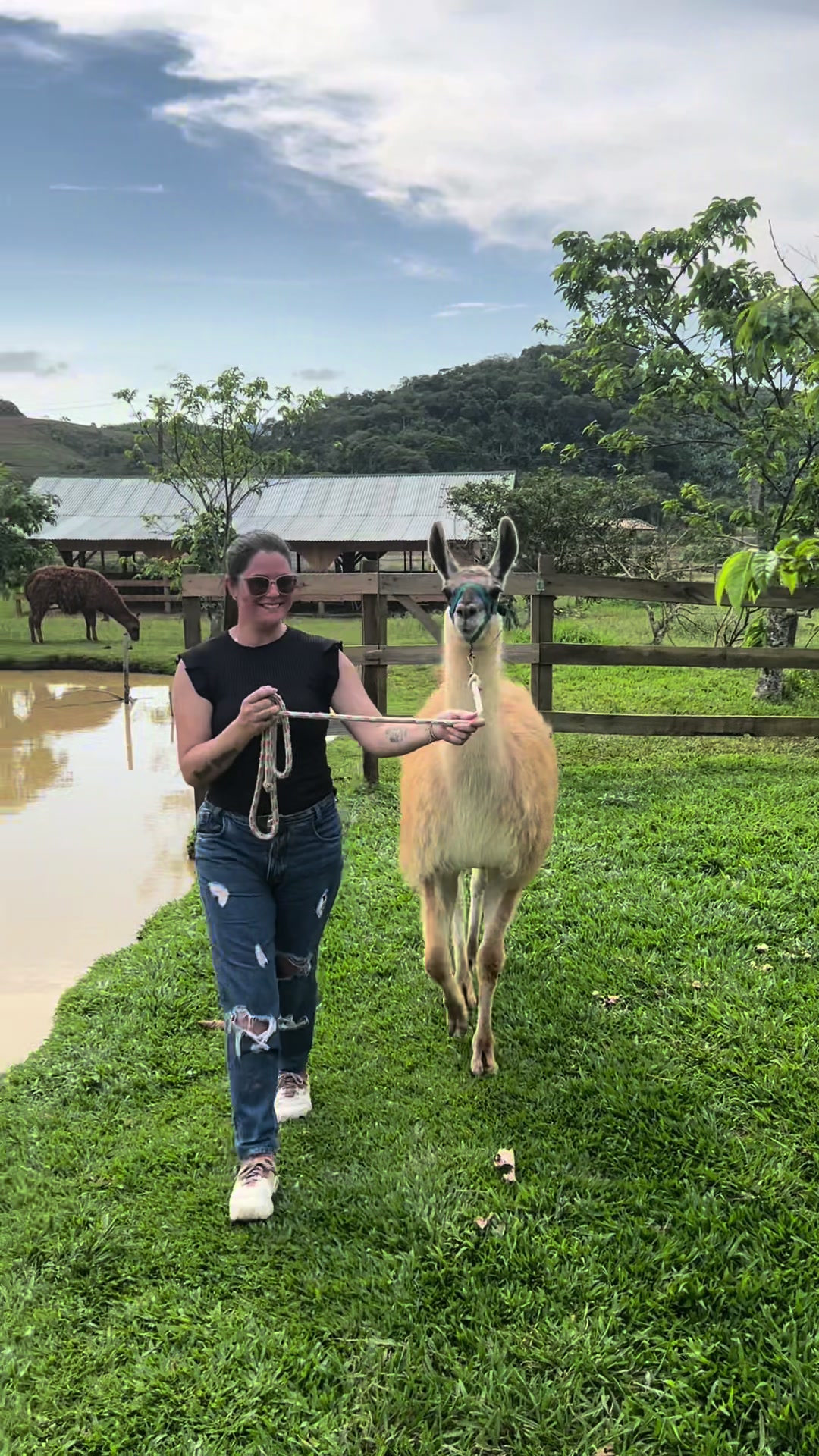 @Cristini Dos Santos