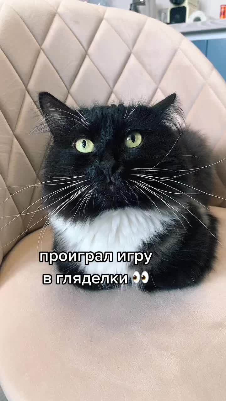 @КОТ МУЖИК 🐾