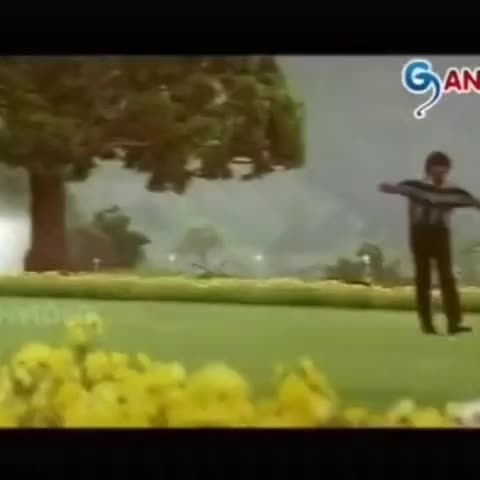 @HARIPRASAD NAIDU