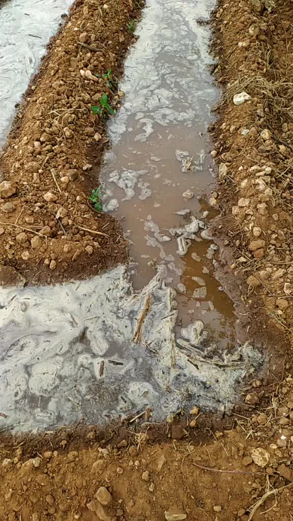 @ch.rajagopal