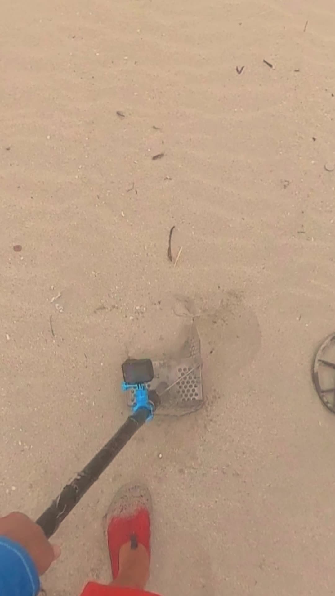 @PirateOfMiamiBeach