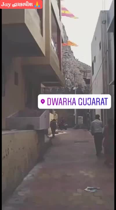 @rohit manek