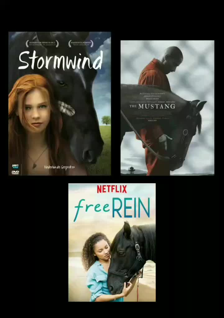 @💗🐴 FREE REIN 💗🐴